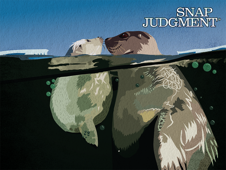 A baby harp seal is nose to nose with its mother. Their heads are above water, their bodies are underwater.