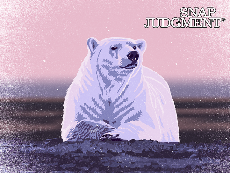 A big polar bear is sitting with his paws together looking ahead on the tundra.