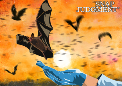 Batwoman – Snap Classic