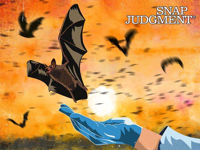 A woman's hand is covered in a bag. She is releasing bats into the wild.