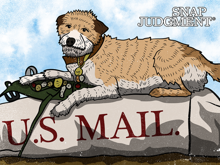 A fluffy dog is sitting on top on a bag of letters and mail.