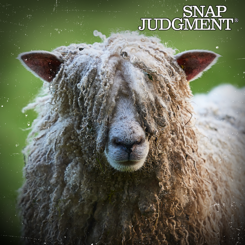 A sheep's wool is so long it's covering its eyes and face.