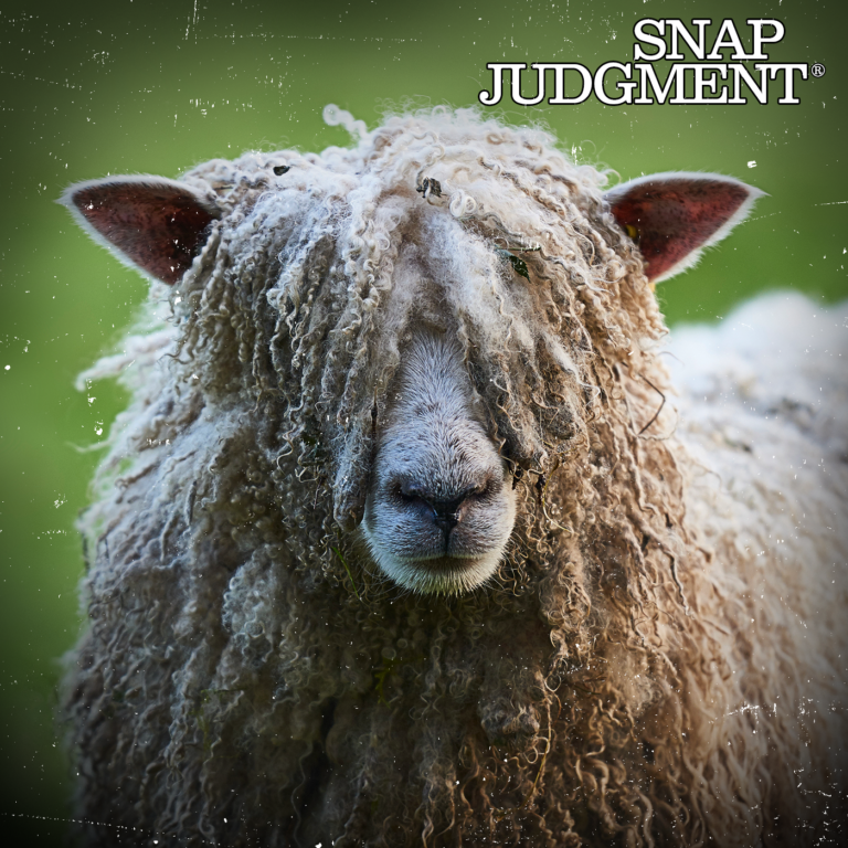 A sheep's wool is so long it's covering its eyes and face.