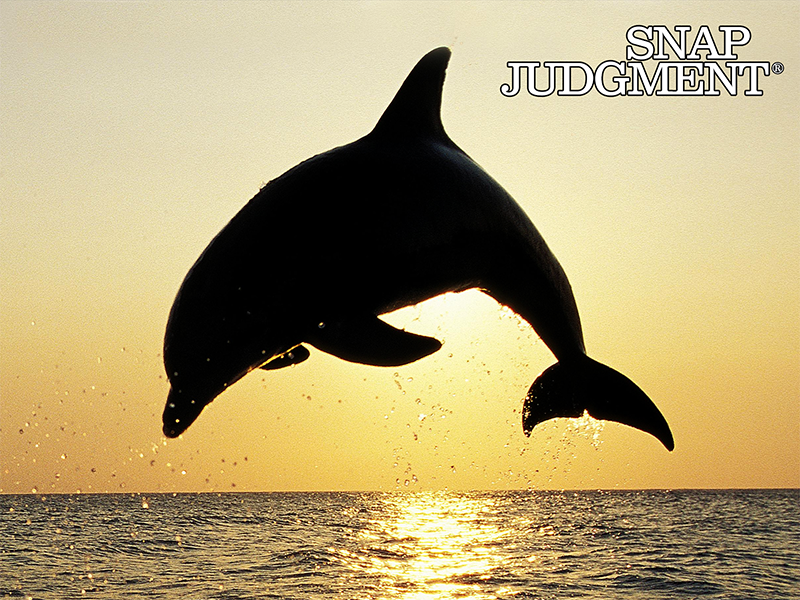 A dolphin is jumping out of the ocean with a sunset in the background.